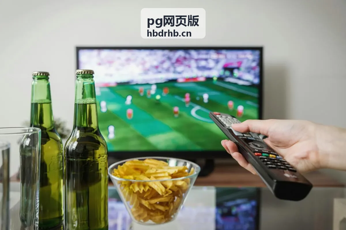 pg网页版浏览器版本与兼容性检查